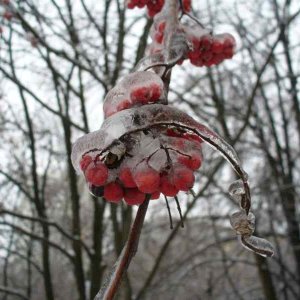 image03