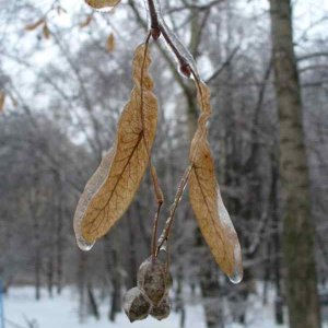 image04