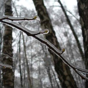 image05