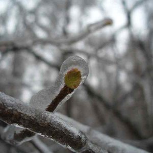 image06