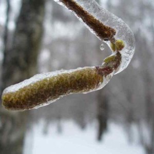image07