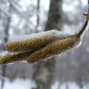 image08