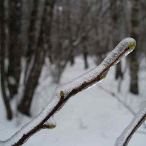 image09