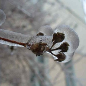 image11
