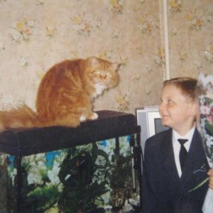 мой бывший кот вася