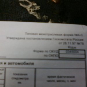 путёвка (8)