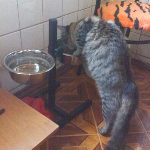 пока Гера дрыхнет...