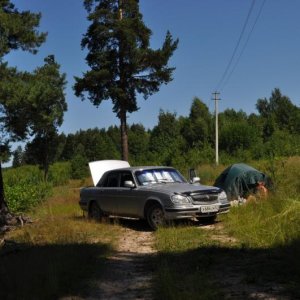 Июнь 2011. Река Керженец.
Загорает)