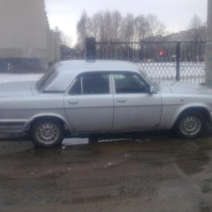 Апрель 2012.
Зацветает с приходом весны.