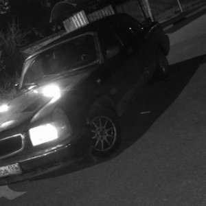 IMAG0334