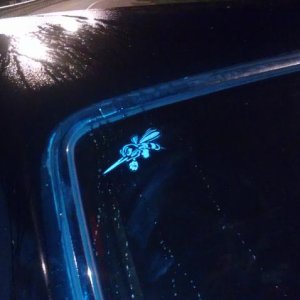 IMAG0322