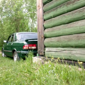зел+ дом