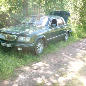 зеленая в кустах