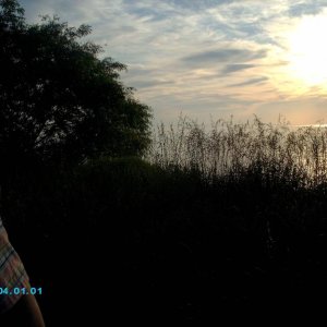 IMAG0068
