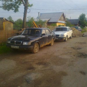 мои воли