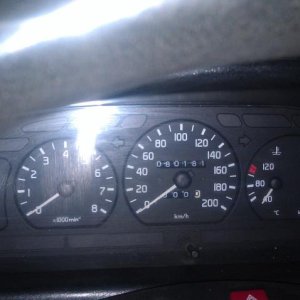 IMAG0113