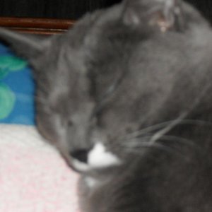 SDC10394