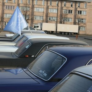 от хорька
