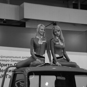 от хорька