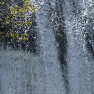 DSC03368