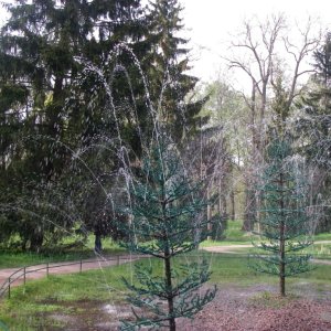 от Хорек  (10.05.)