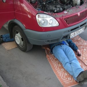 от Хорек  (10.05.)