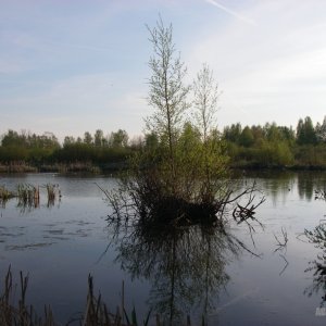 от Хорек  (10.05.)