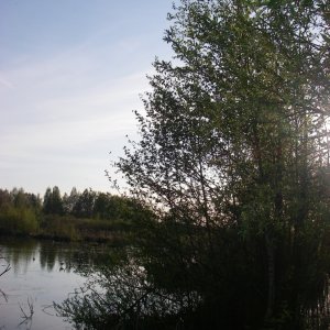 от Хорек  (10.05.)