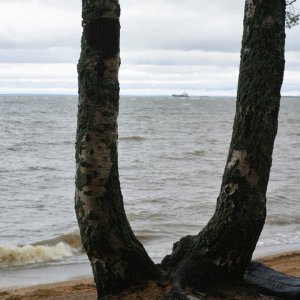 Кораблик