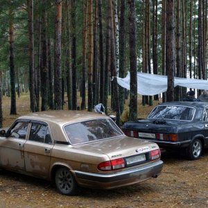 В лесу