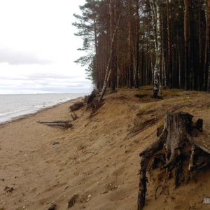 У залива (обои v1.0)