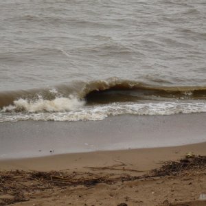 Image00032