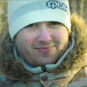 Хорек