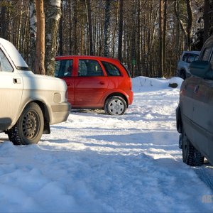 Предводитель оленей скромничает :)