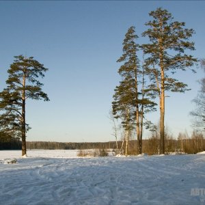 Кто-то переживал, что останемся без пейзажа? :))