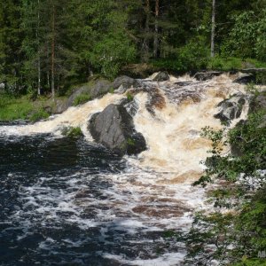 10p1020835