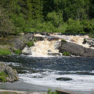 10p1020831