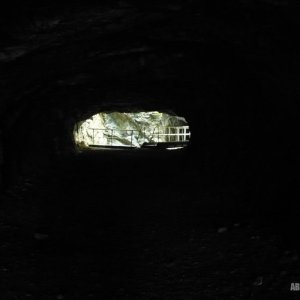 9p1020772