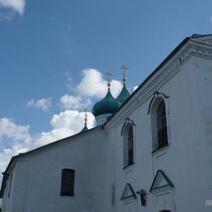 6p1020685