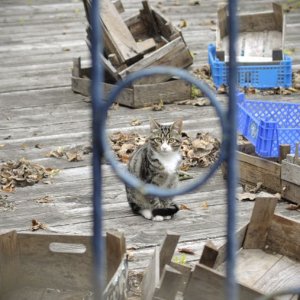 Тверской бомжик :(
