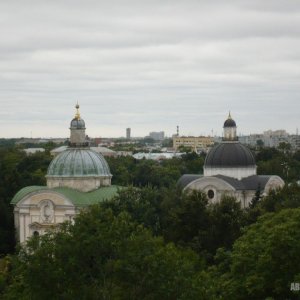 P1030009