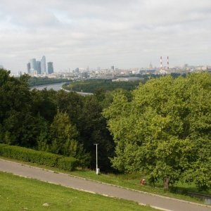 P1030392