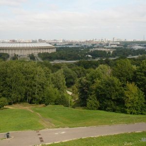 P1030393