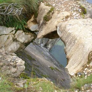 Dsc00904