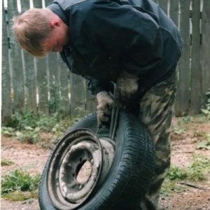 Изображение 281