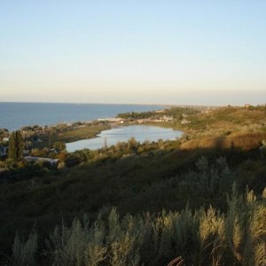 Голубицкая