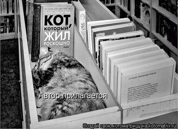 А это не мой кашак,  просто нравится.