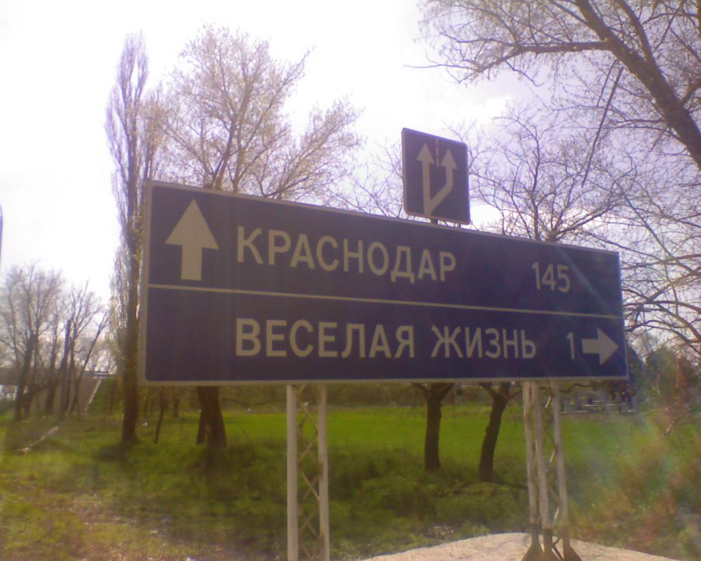 ВЕсело да?