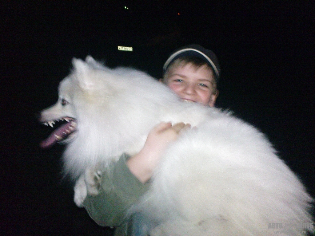 Волговоды,Москва,10.04.2008