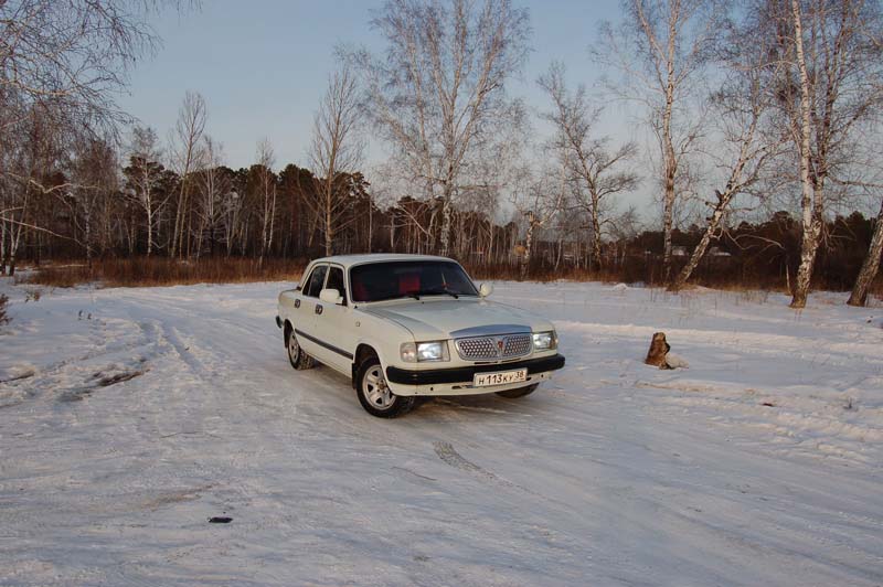 В лесу 3